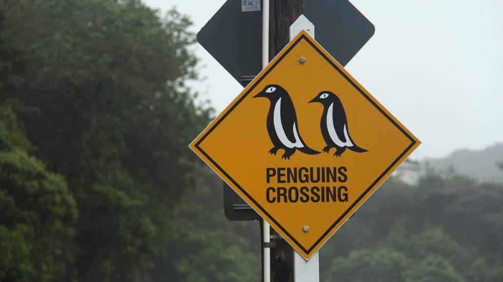 Vorsicht Pinguine