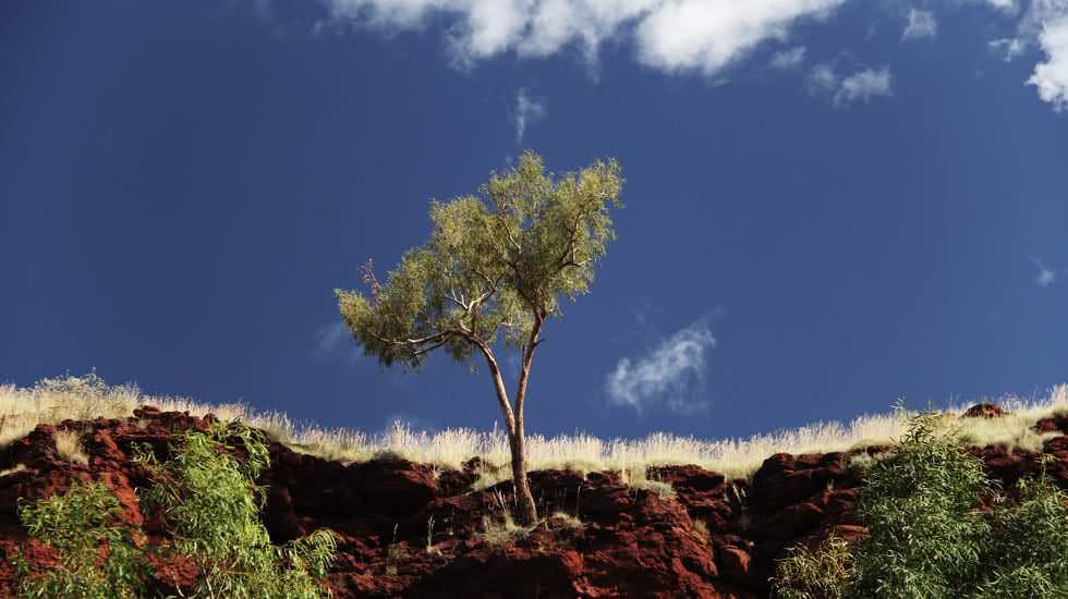 Karijini