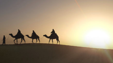 Die Wüste Indiens: Von Kamelen und dem Holi-Festival